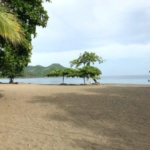 Meet your Posher, Mansi